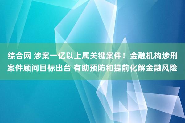 综合网 涉案一亿以上属关键案件！金融机构涉刑案件顾问目标出台 有助预防和提前化解金融风险