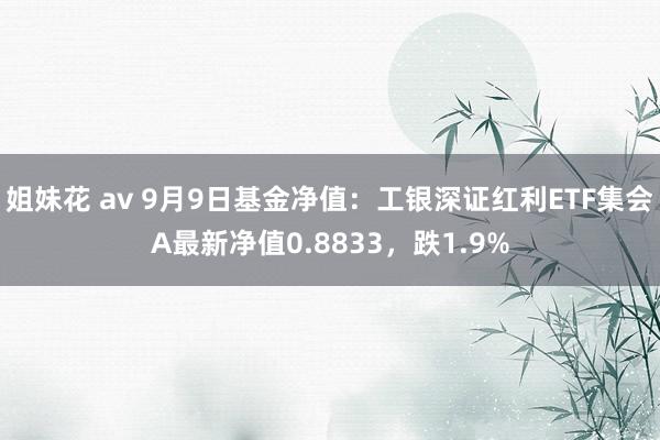 姐妹花 av 9月9日基金净值：工银深证红利ETF集会A最新净值0.8833，跌1.9%