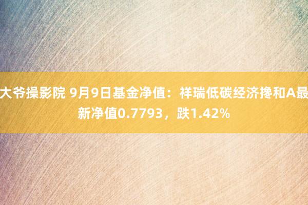 大爷操影院 9月9日基金净值：祥瑞低碳经济搀和A最新净值0.7793，跌1.42%