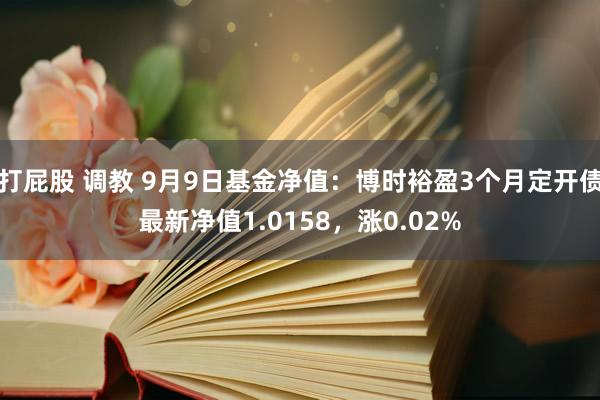 打屁股 调教 9月9日基金净值：博时裕盈3个月定开债最新净值1.0158，涨0.02%