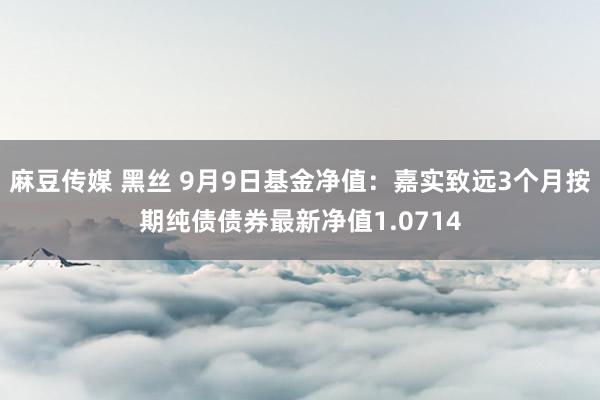 麻豆传媒 黑丝 9月9日基金净值：嘉实致远3个月按期纯债债券最新净值1.0714