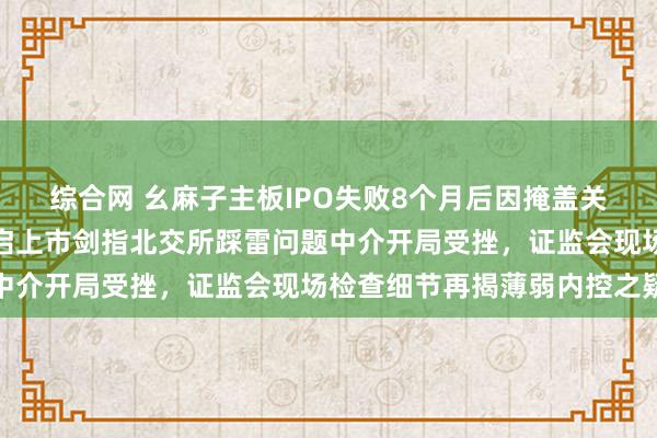 综合网 幺麻子主板IPO失败8个月后因掩盖关联方信息遭罚背后：重启上市剑指北交所踩雷问题中介开局受挫，证监会现场检查细节再揭薄弱内控之疑