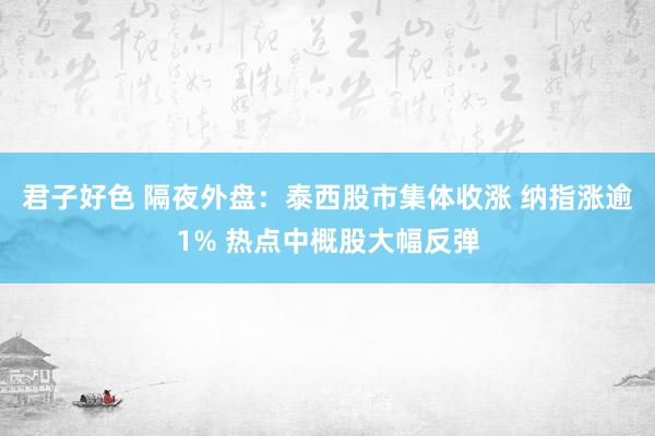 君子好色 隔夜外盘：泰西股市集体收涨 纳指涨逾1% 热点中概股大幅反弹