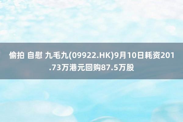 偷拍 自慰 九毛九(09922.HK)9月10日耗资201.73万港元回购87.5万股