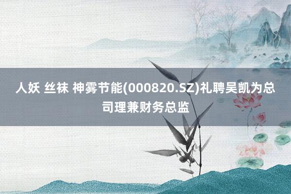 人妖 丝袜 神雾节能(000820.SZ)礼聘吴凯为总司理兼财务总监