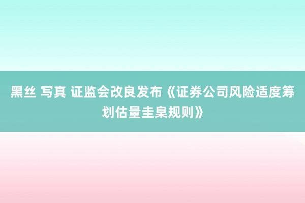 黑丝 写真 证监会改良发布《证券公司风险适度筹划估量圭臬规则》