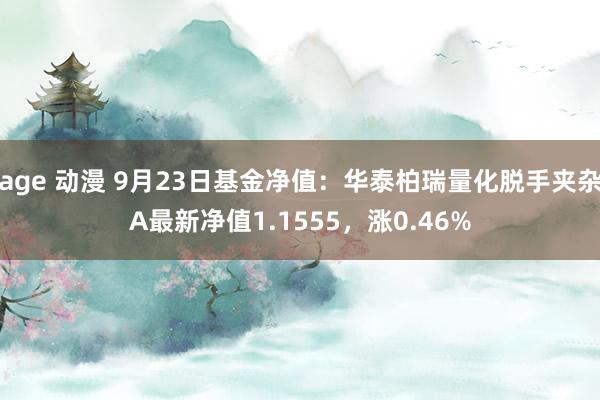 age 动漫 9月23日基金净值：华泰柏瑞量化脱手夹杂A最新净值1.1555，涨0.46%