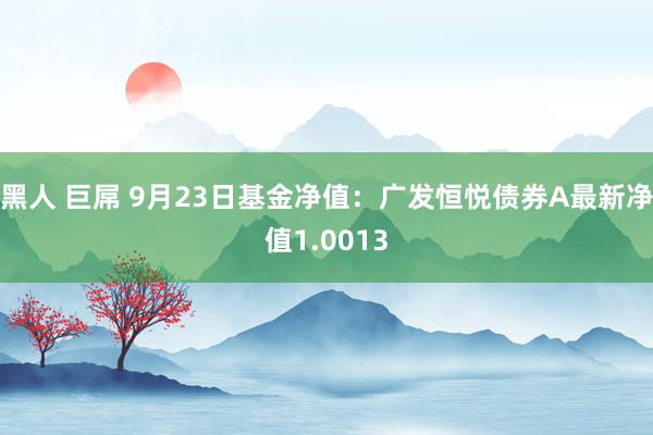 黑人 巨屌 9月23日基金净值：广发恒悦债券A最新净值1.0013