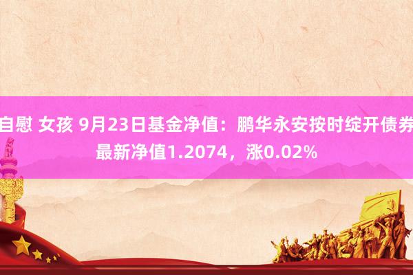 自慰 女孩 9月23日基金净值：鹏华永安按时绽开债券最新净值1.2074，涨0.02%