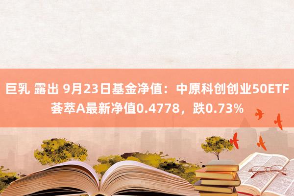 巨乳 露出 9月23日基金净值：中原科创创业50ETF荟萃A最新净值0.4778，跌0.73%