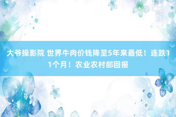 大爷操影院 世界牛肉价钱降至5年来最低！连跌11个月！农业农村部回报