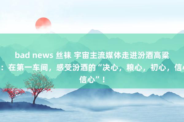 bad news 丝袜 宇宙主流媒体走进汾酒高粱基地：在第一车间，感受汾酒的“决心，粮心，初心，信心”！