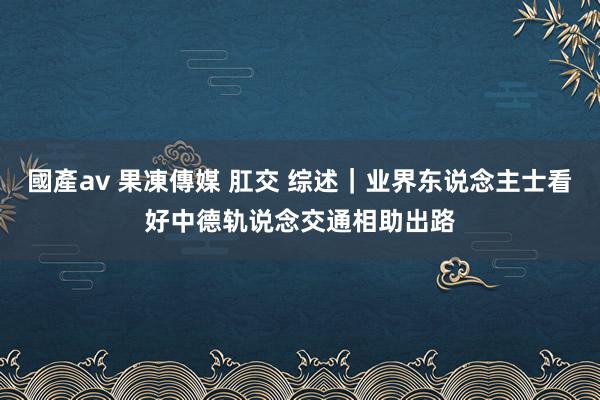 國產av 果凍傳媒 肛交 综述｜业界东说念主士看好中德轨说念交通相助出路