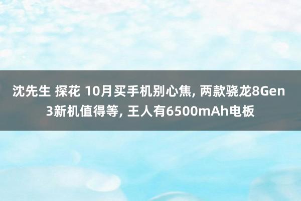 沈先生 探花 10月买手机别心焦， 两款骁龙8Gen 3新机值得等， 王人有6500mAh电板