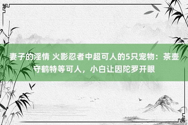 妻子的淫情 火影忍者中超可人的5只宠物：茶壶守鹤特等可人，小白让因陀罗开眼