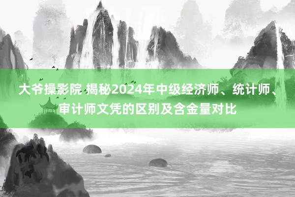 大爷操影院 揭秘2024年中级经济师、统计师、审计师文凭的区别及含金量对比