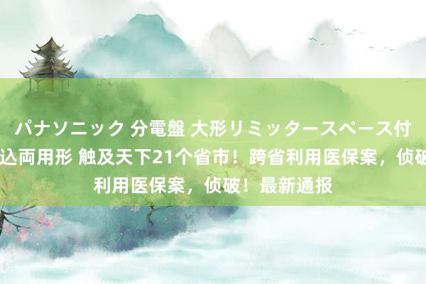 パナソニック 分電盤 大形リミッタースペース付 露出・半埋込両用形 触及天下21个省市！跨省利用医保案，侦破！最新通报