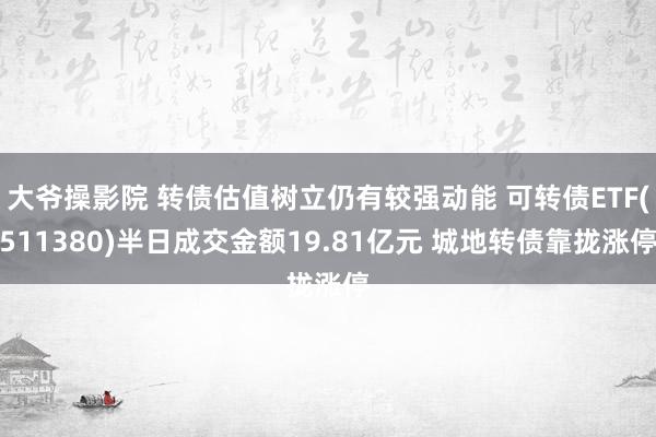 大爷操影院 转债估值树立仍有较强动能 可转债ETF(511380)半日成交金额19.81亿元 城地转债靠拢涨停