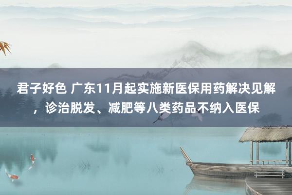 君子好色 广东11月起实施新医保用药解决见解，诊治脱发、减肥等八类药品不纳入医保