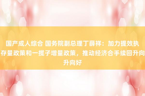 国产成人综合 国务院副总理丁薛祥：加力提效执行存量政策和一揽子增量政策，推动经济合手续回升向好