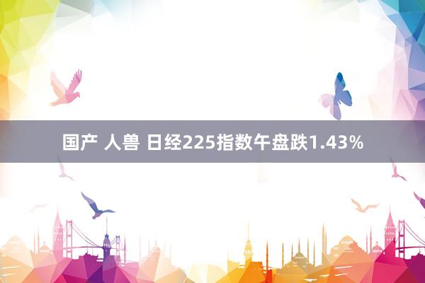 国产 人兽 日经225指数午盘跌1.43%