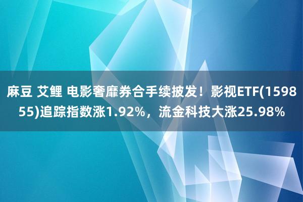 麻豆 艾鲤 电影奢靡券合手续披发！影视ETF(159855)追踪指数涨1.92%，流金科技大涨25.98%