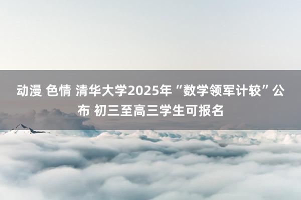 动漫 色情 清华大学2025年“数学领军计较”公布 初三至高三学生可报名