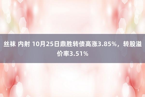 丝袜 内射 10月25日鼎胜转债高涨3.85%，转股溢价率3.51%