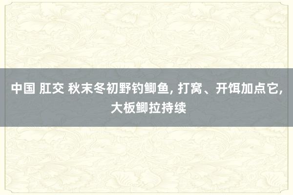 中国 肛交 秋末冬初野钓鲫鱼， 打窝、开饵加点它， 大板鲫拉持续