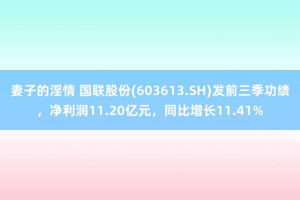 妻子的淫情 国联股份(603613.SH)发前三季功绩，净利润11.20亿元，同比增长11.41%