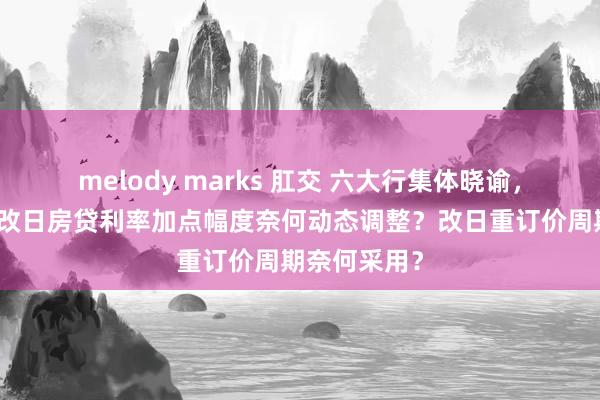 melody marks 肛交 六大行集体晓谕，明起调整！改日房贷利率加点幅度奈何动态调整？改日重订价周期奈何采用？