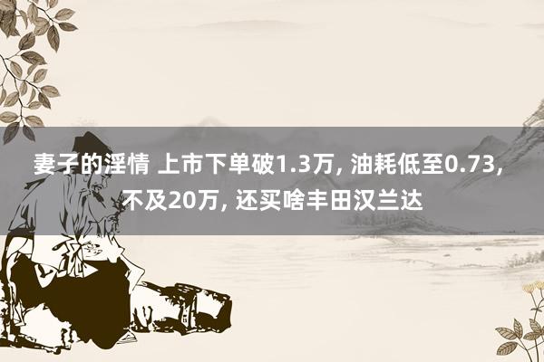 妻子的淫情 上市下单破1.3万， 油耗低至0.73， 不及20万， 还买啥丰田汉兰达