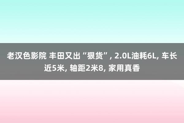 老汉色影院 丰田又出“狠货”， 2.0L油耗6L， 车长近5米， 轴距2米8， 家用真香