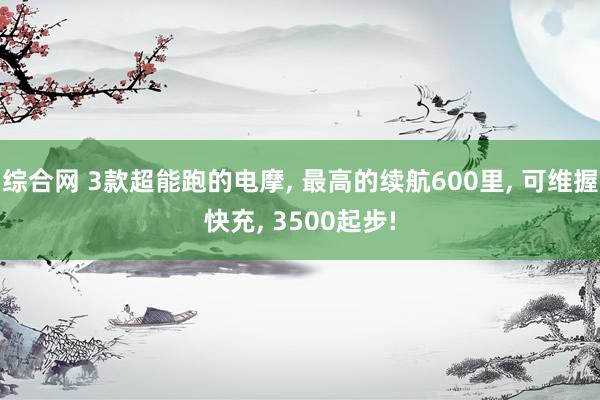 综合网 3款超能跑的电摩， 最高的续航600里， 可维握快充， 3500起步!