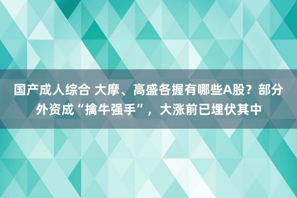 国产成人综合 大摩、高盛各握有哪些A股？部分外资成“擒牛强手”，大涨前已埋伏其中