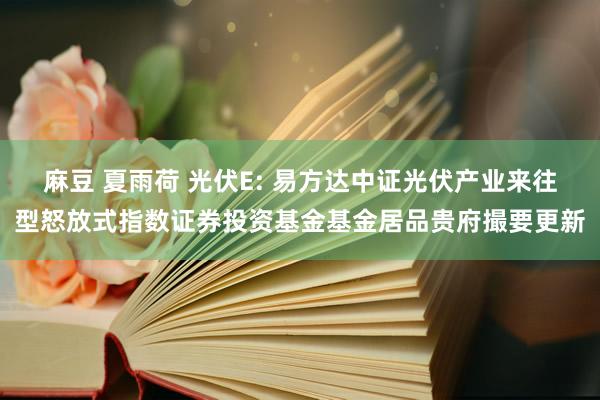 麻豆 夏雨荷 光伏E: 易方达中证光伏产业来往型怒放式指数证券投资基金基金居品贵府撮要更新