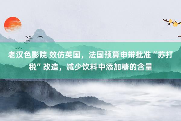 老汉色影院 效仿英国，法国预算申辩批准“苏打税”改造，减少饮料中添加糖的含量