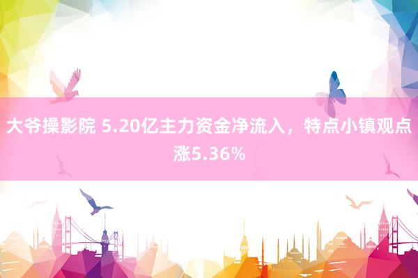 大爷操影院 5.20亿主力资金净流入，特点小镇观点涨5.36%