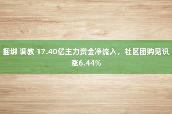 捆绑 调教 17.40亿主力资金净流入，社区团购见识涨6.44%