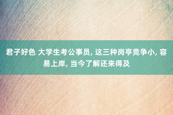 君子好色 大学生考公事员， 这三种岗亭竞争小， 容易上岸， 当今了解还来得及