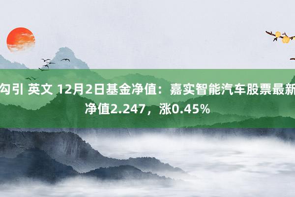 勾引 英文 12月2日基金净值：嘉实智能汽车股票最新净值2.247，涨0.45%