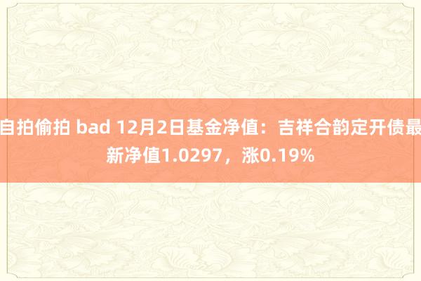 自拍偷拍 bad 12月2日基金净值：吉祥合韵定开债最新净值1.0297，涨0.19%