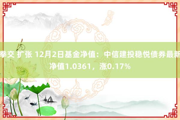 拳交 扩张 12月2日基金净值：中信建投稳悦债券最新净值1.0361，涨0.17%