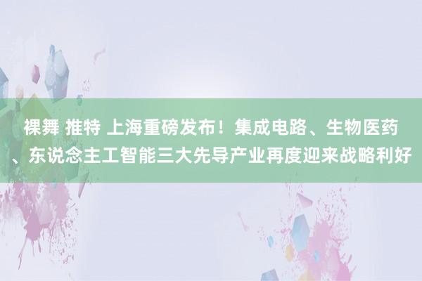 裸舞 推特 上海重磅发布！集成电路、生物医药、东说念主工智能三大先导产业再度迎来战略利好