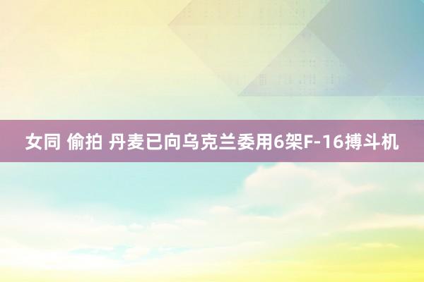 女同 偷拍 丹麦已向乌克兰委用6架F-16搏斗机