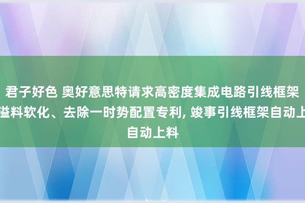 君子好色 奥好意思特请求高密度集成电路引线框架的溢料软化、去除一时势配置专利， 竣事引线框架自动上料