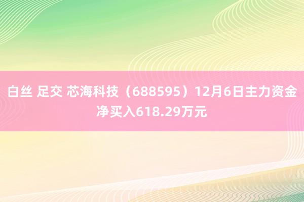 白丝 足交 芯海科技（688595）12月6日主力资金净买入618.29万元