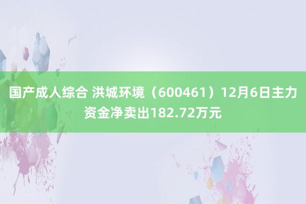 国产成人综合 洪城环境（600461）12月6日主力资金净卖出182.72万元