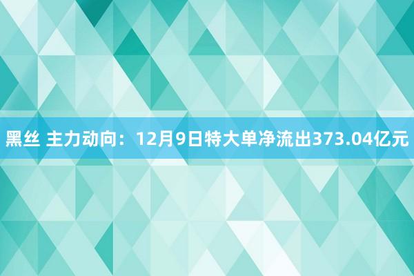 黑丝 主力动向：12月9日特大单净流出373.04亿元