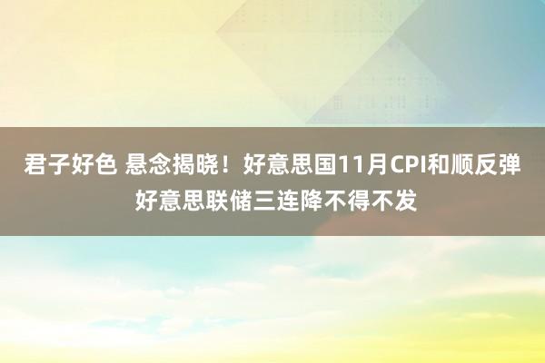 君子好色 悬念揭晓！好意思国11月CPI和顺反弹 好意思联储三连降不得不发